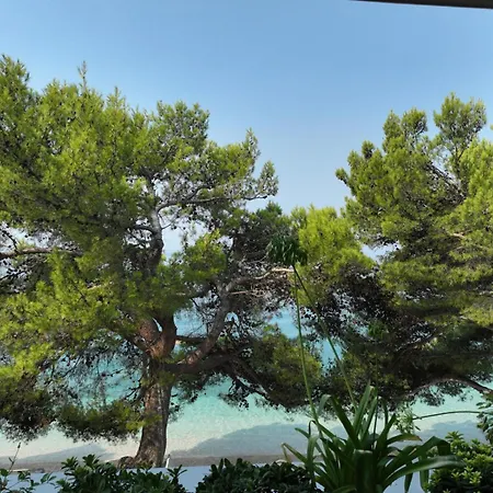 Villa Di Arte - Makarska Exklusiv Tucepi Exterior photo