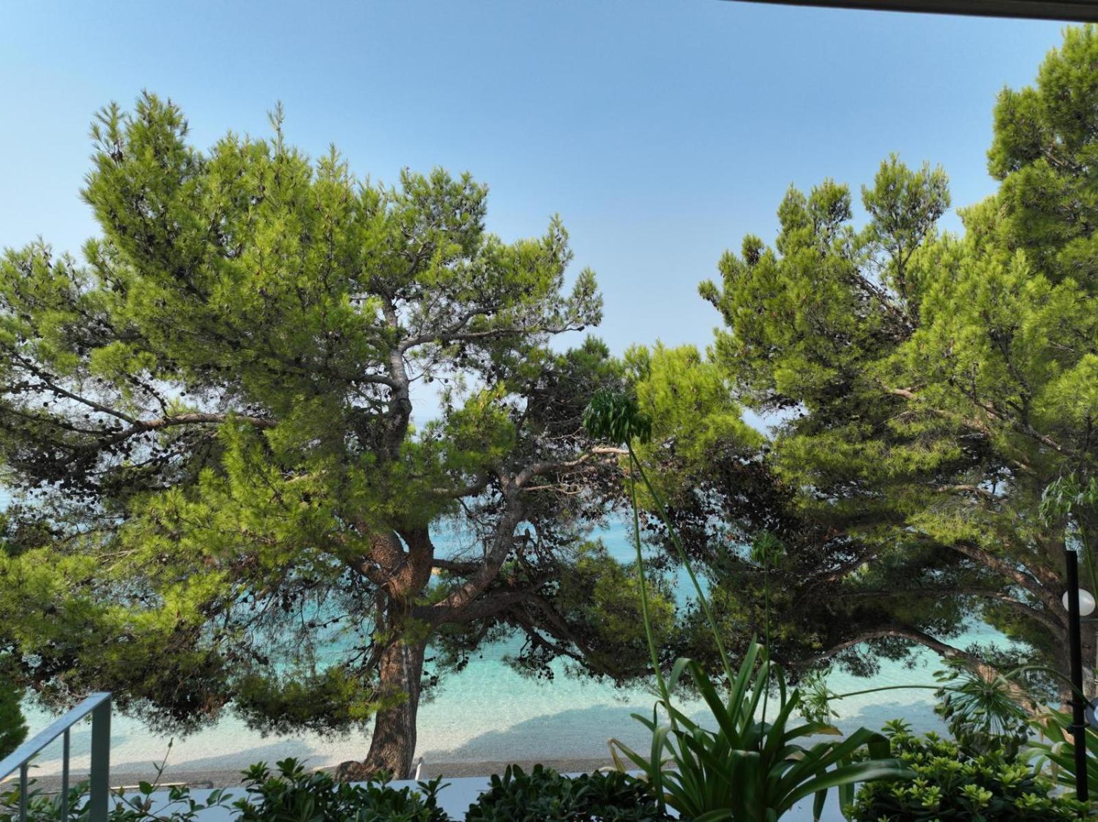 Apartment Di Arte - Makarska Exklusiv Tucepi